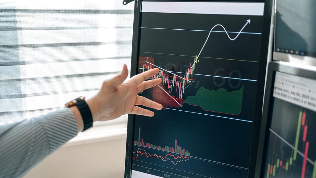 How to Manage a Crypto Portfolio Like a Professional