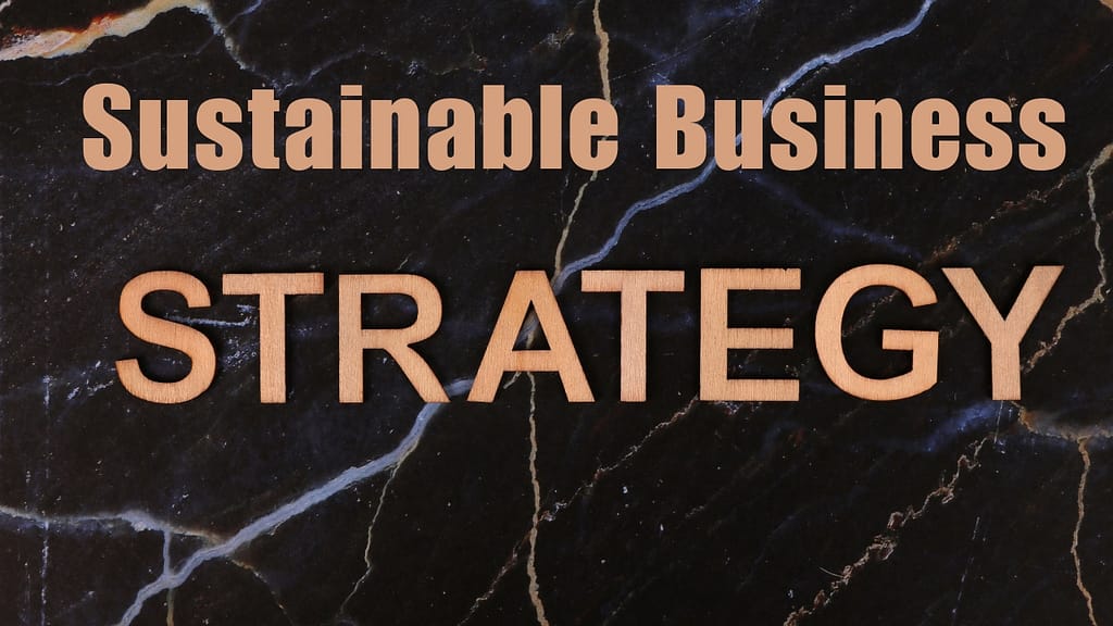 Sustainable Business Strategy: Compete and Win Long-Term